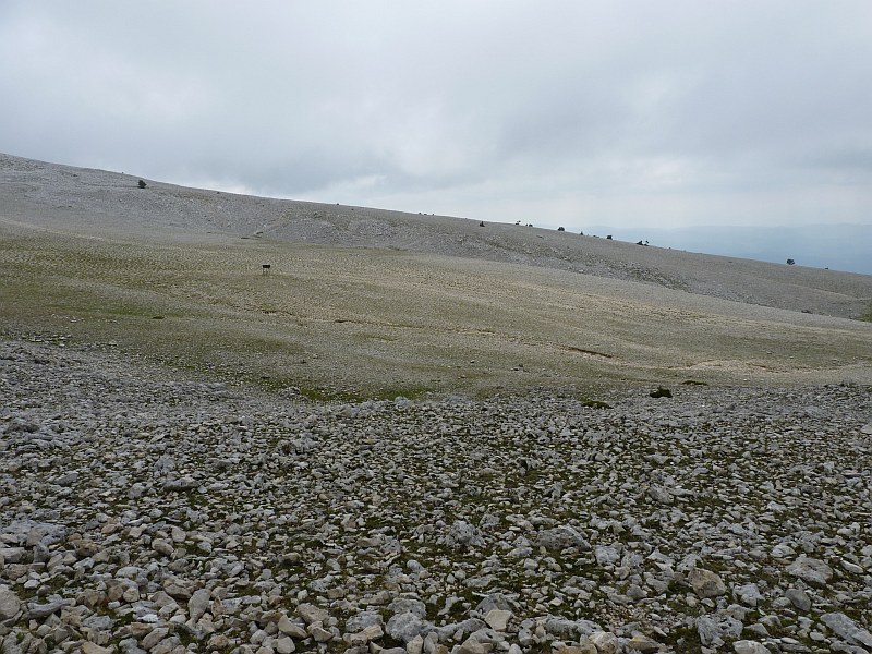 Provence : Ventoux